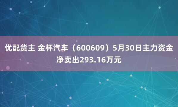 优配货主 金杯汽车（600609）5月30日主力资金净卖出293.16万元