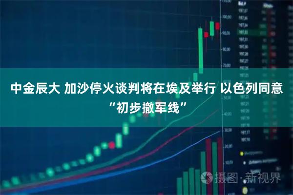 中金辰大 加沙停火谈判将在埃及举行 以色列同意“初步撤军线”